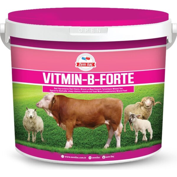 Zem Vitmin-B Forte Çiftlik Hayvanları Günlük Vitamin Mineral Dengeleyici Yem Katkısı 20 kg