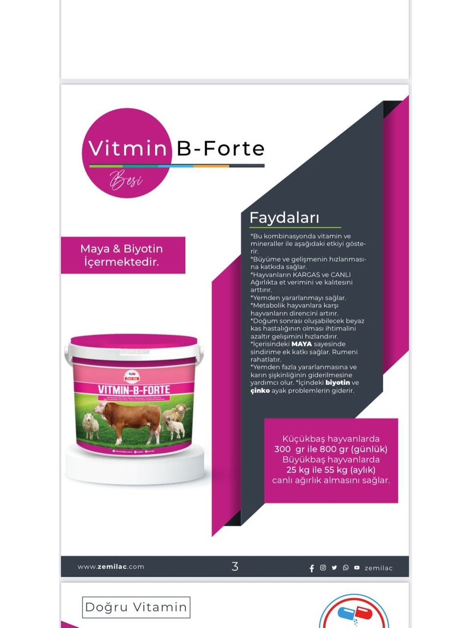 Zem Vitmin-B Forte Çiftlik Hayvanları Günlük Vitamin Mineral Dengeleyici Yem Katkısı 20 kg